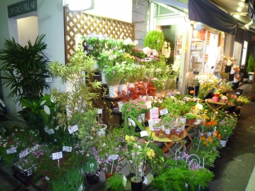 「アクツ花店」　（東京都新宿区）の花屋店舗写真2